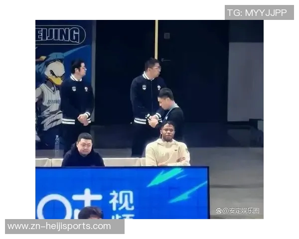 足球场上的猫咪奇遇记与球迷的温馨瞬间 足球场上的猫咪奇遇记与球迷的温馨瞬间